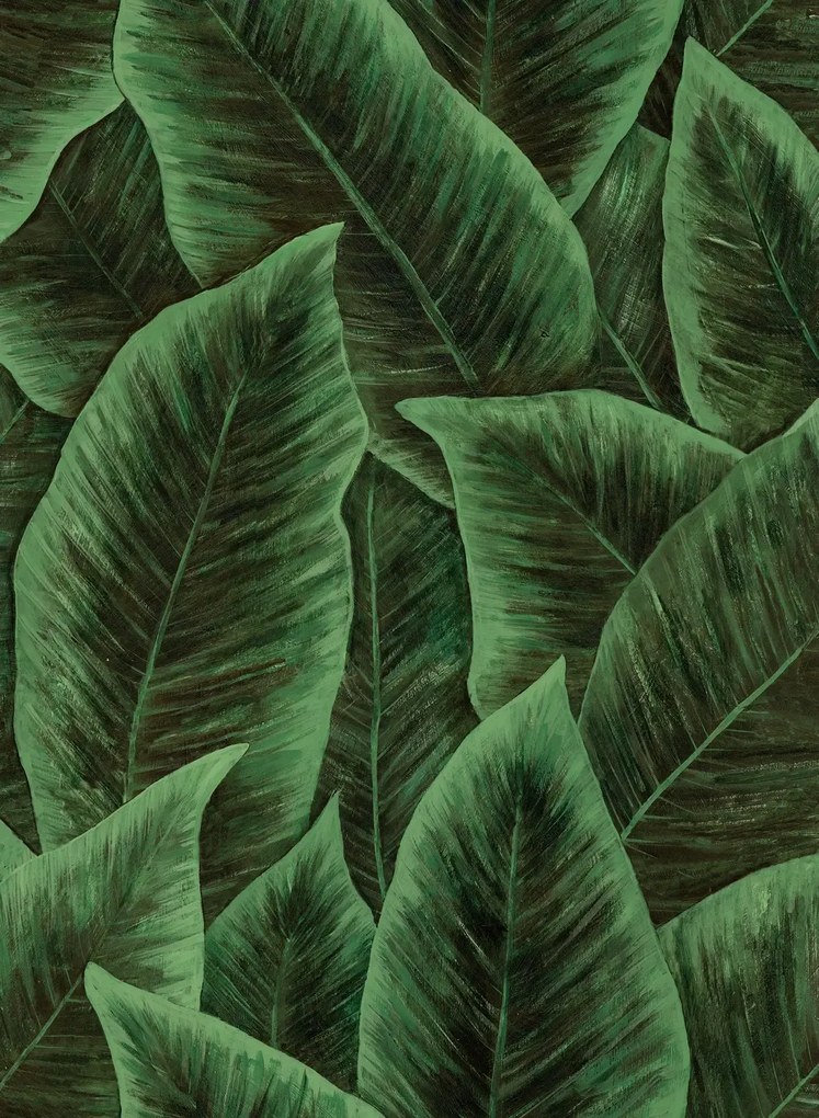 Arte International Carta da parati Bird Of Paradise - Emerald