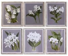 Quadro DKD Home Decor Abete Cristallo 50 x 60 x 2,8 cm 50 x 2,8 x 60 cm Fiori (6 Pezzi)