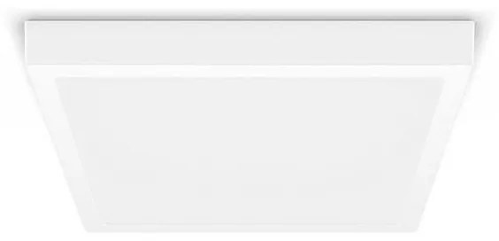 Philips - Plafoniera LED MAGNEOS LED/20W/230V 2700K bianca