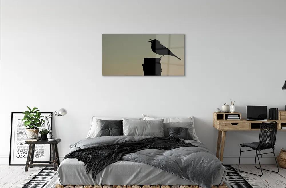 Quadro su vetro acrilico Uccello nero 100x50 cm