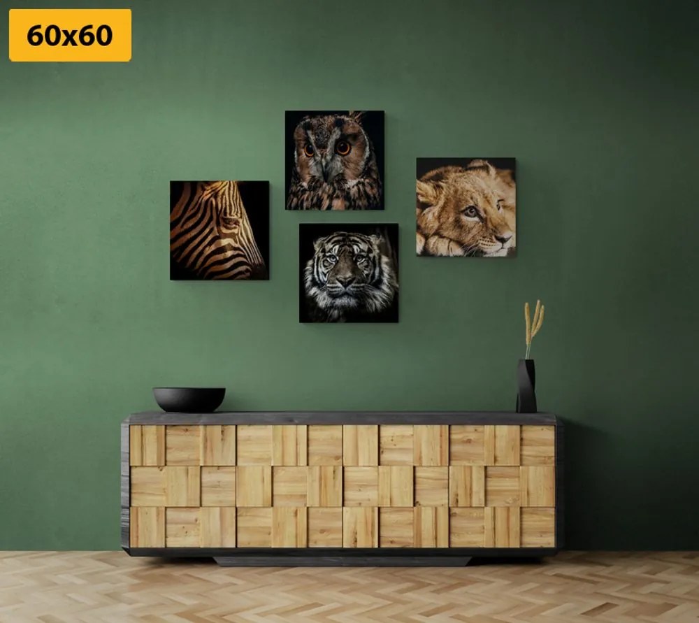 Set di quadri – Animali selvatici