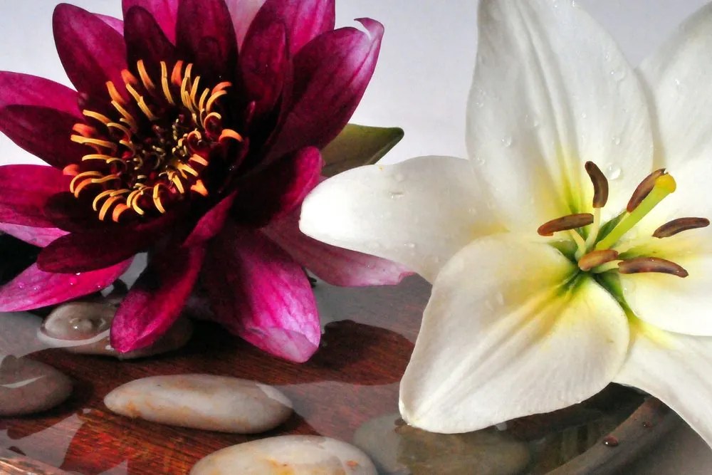 Stampa su tela – Fiori in ciotola con pietre Zen