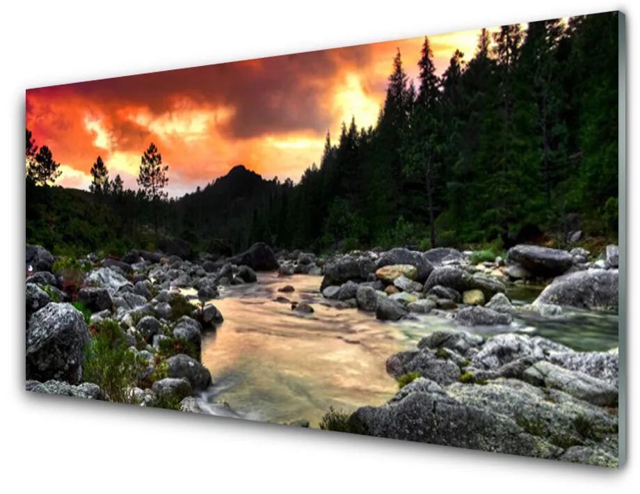 Quadro acrilico Lago di fiume della foresta della natura 100x50 cm