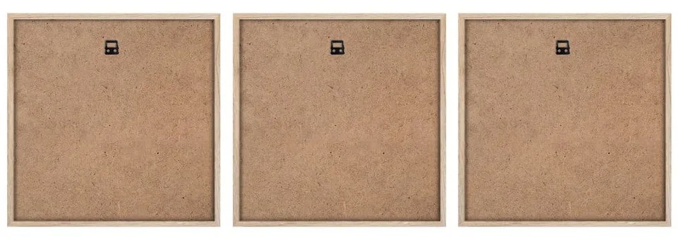 Set di dipinti 3 pz 30x30 cm Pampas – Styler