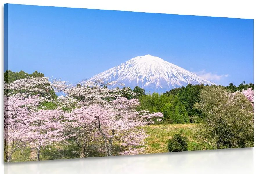 Stampa su tela – Vulcano Fuji
