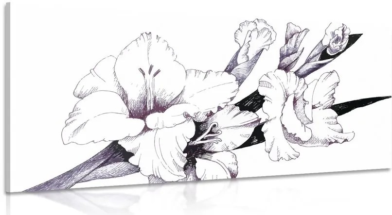 Quadro su tela – Illustrazione di gladioli in fiore