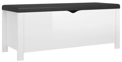 Contenitore con Cuscino Bianco Lucido 105x40x45cm Multistrato