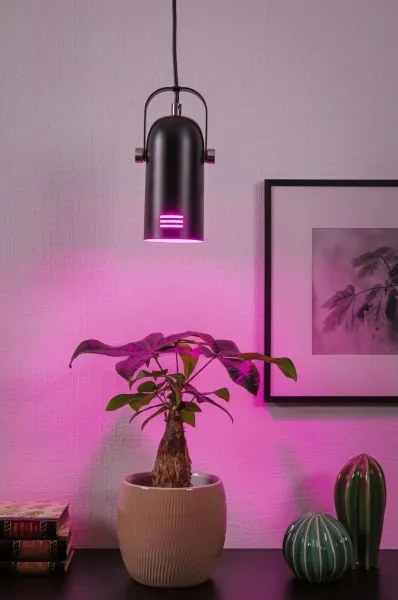 Paulmann 79766 - LED RGBW 1xE27/15W Lampada a sospensione con cavo LAVEA 230V nero