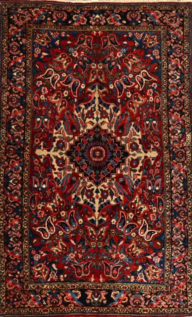 Bakhtiar Tappeto 140 x 220 (Iran)