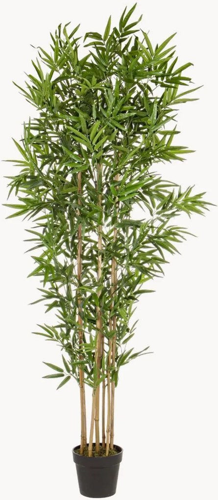 Set di 2 piante artificiali Bamboo II