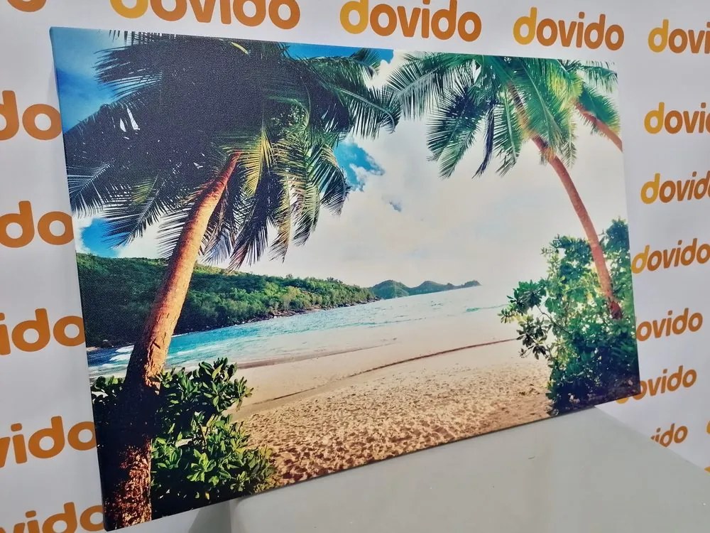 Quadro su tela – Tramonto sull'isola delle Seychelles