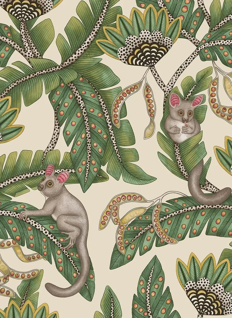 Cole & Son Carta da parati Bush Baby - 119/7035
