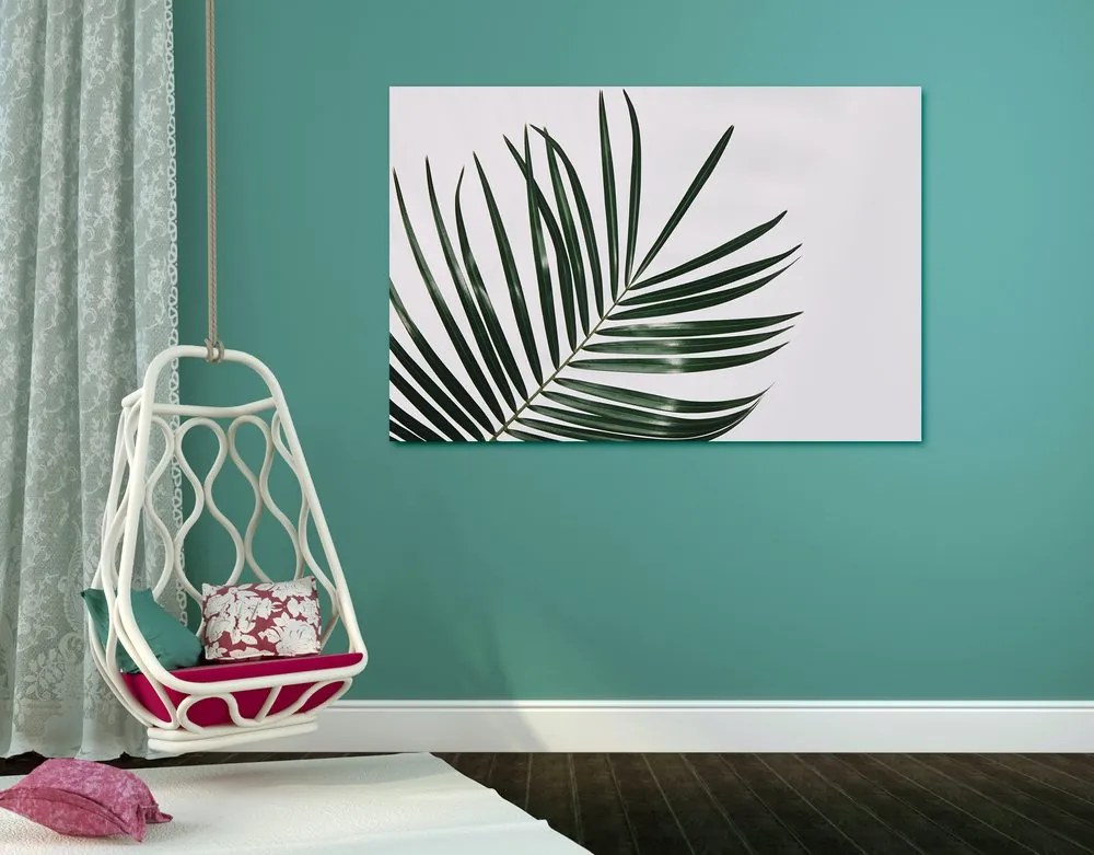 Quadro su tela – Splendido foglia di palma