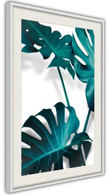 Poster  Turquoise Monstera II  Cornice Quadri Cornice nera, Larghezza x Altezza Home decor 20x30