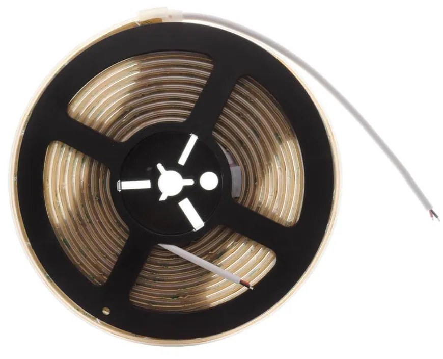 Striscia LED COB 10W/m 24VDC IP67 5m Luce Continua Colore Bianco Caldo 2.700K