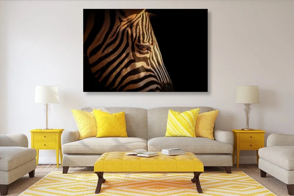 Stampa su tela – Ritratto di zebra