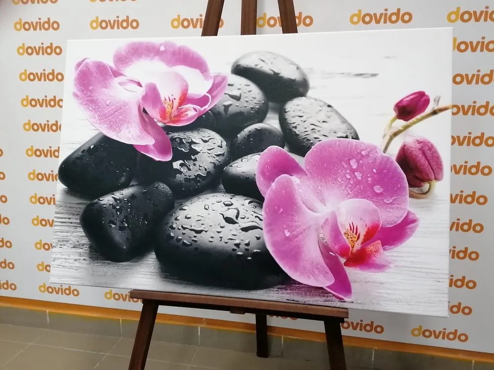 Stampa su tela – Bella armonia di pietre e orchidee