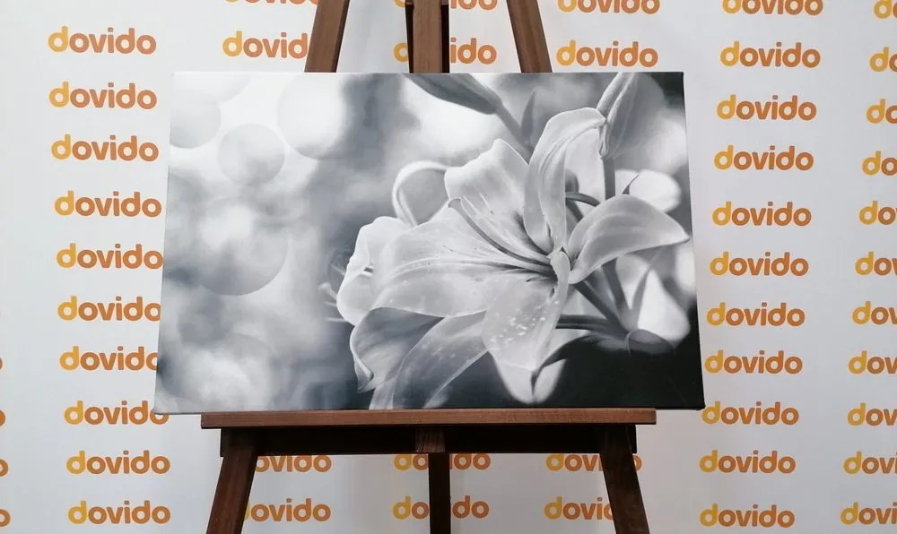 Stampa su tela – Fiore di giglio su sfondo astratto in bianco e nero