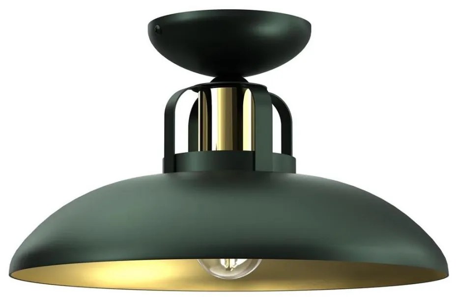 Lampadario a plafone FELIX 1xE27/60W/230V verde