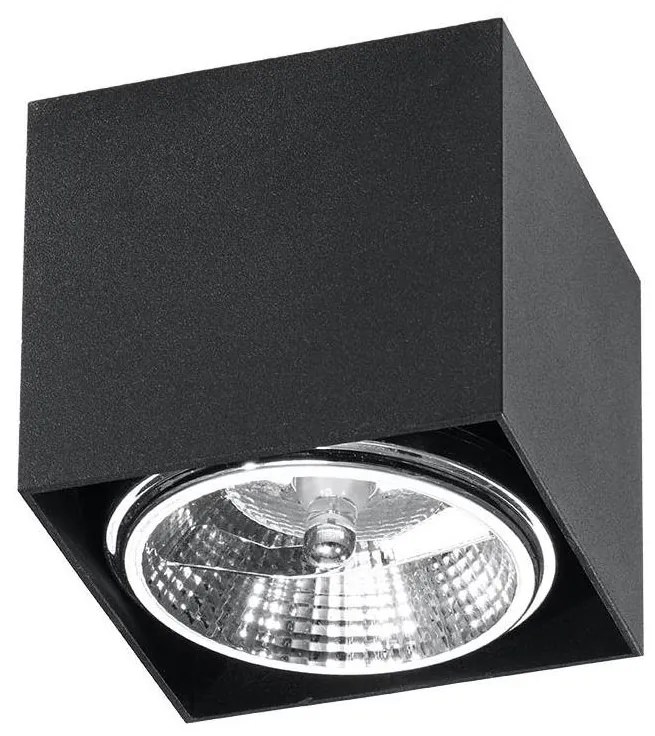 Luce Spot BLAKE 1xGU10/40W/230V