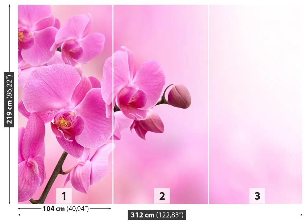 Carta da parati Orchidea rosa 104x70 cm