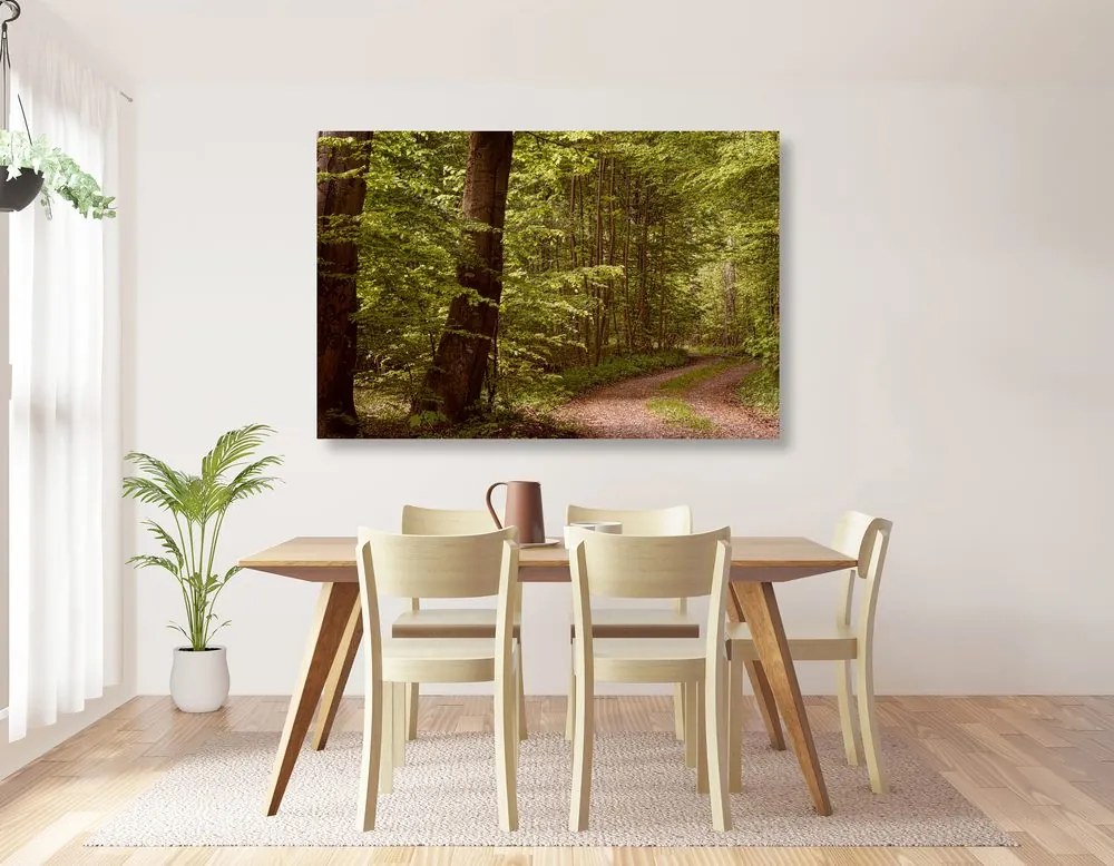 Quadro su tela – Foresta verde