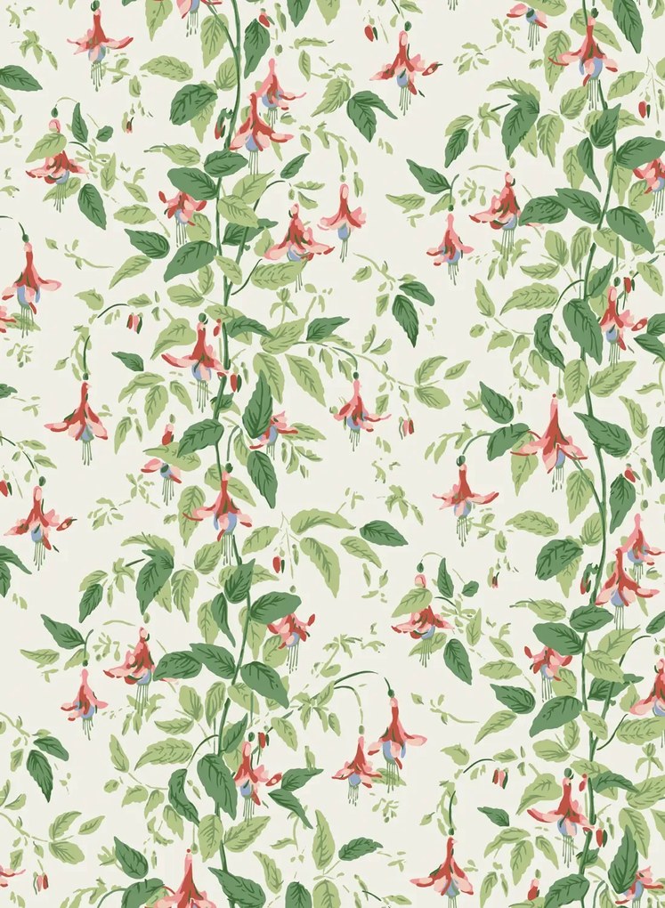 Cole & Son Carta da parati Fuchsia - Rose Pink and Soft Green on Parchment
