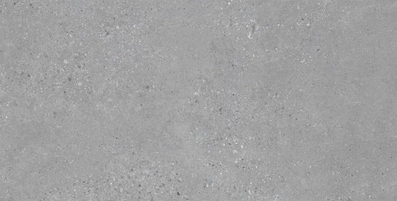 Mexen Inspira Gres grigio smaltato rettificato G1, piastrella per pavimento e parete 120 x 60 cm, opaco - TL303-120-060-02