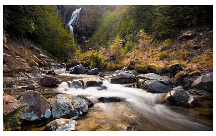 Fotomurale  Ohakune  Waterfalls in New Zealand  Colore Verde, Dimensioni e Misure 450x270