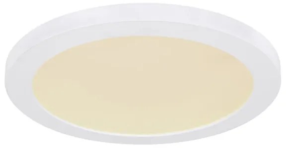 Globo 12379-24W - Plafoniera LED LASSE LED/24W/230V