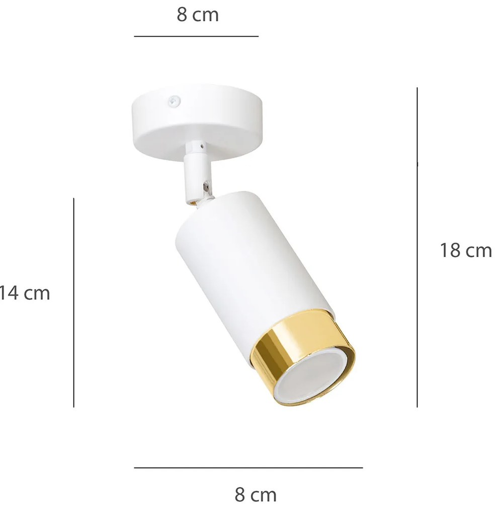 Faretto Orientabile 1 Luce Ragnar A Cilindro In Acciaio Bianco E Oro
