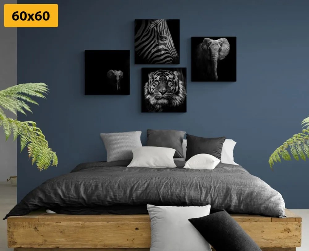 Set di quadri – Animali in stile bianco e nero