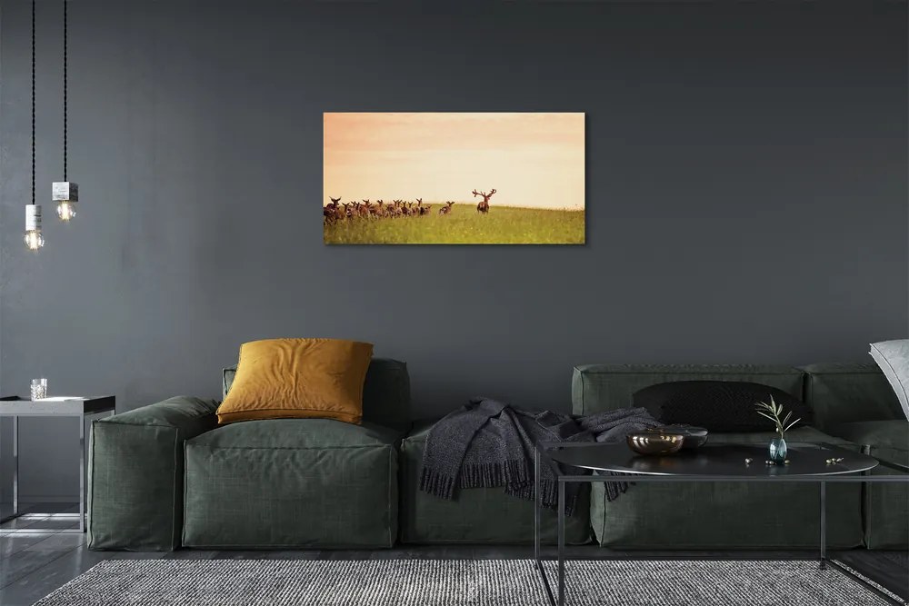 Quadro stampa su tela Herd Deer Field Sunrise 100x50 cm