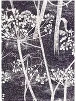 Cow Parsley - Designtapete von Cole and Son - Mokka