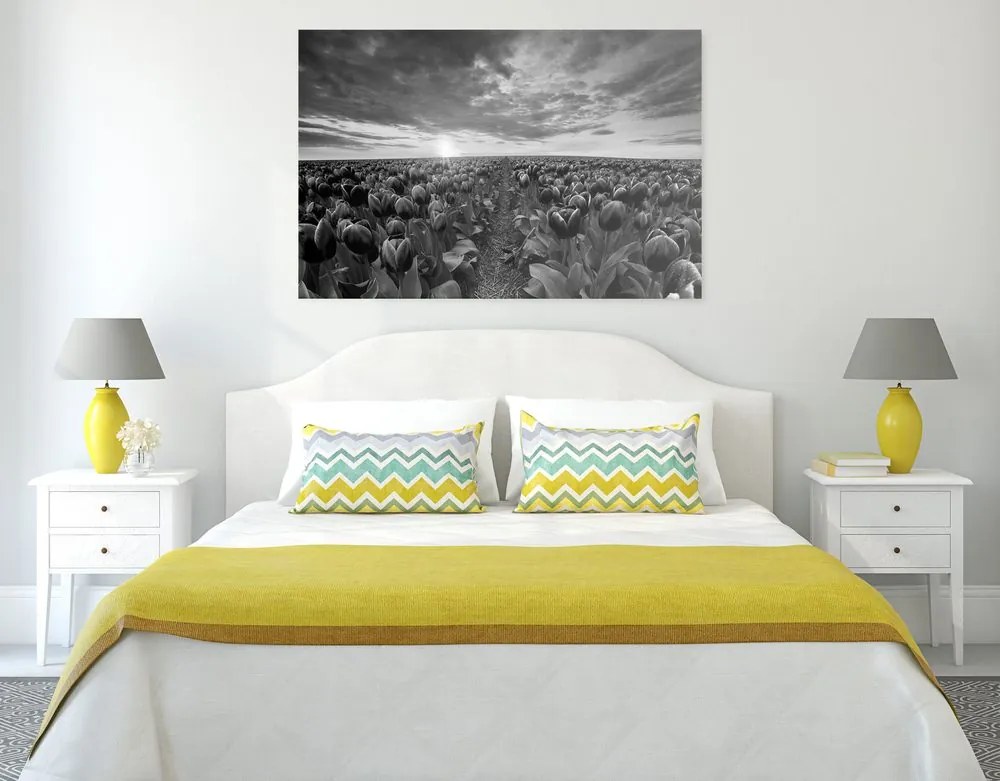 Quadro su tela – Alba sopra il prato con tulipani in bianco e nero
