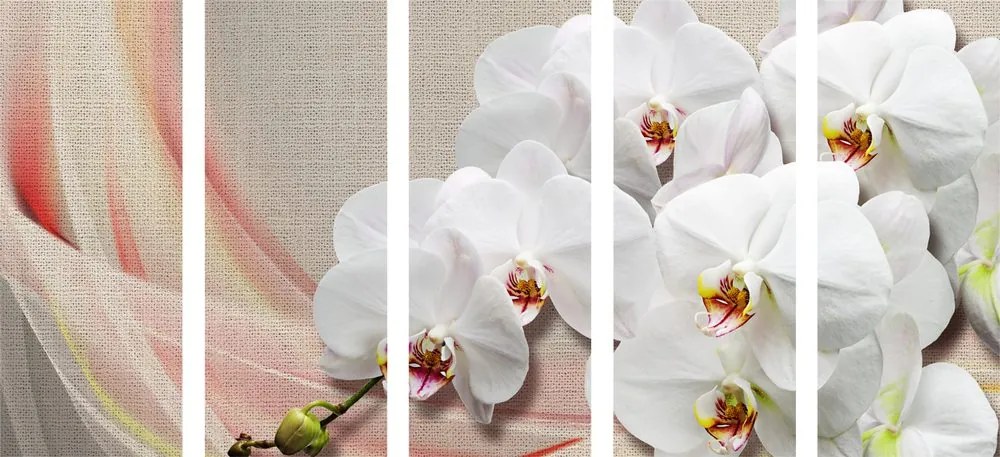 Quadri 5 pezzi – Orchidea bianca su tela