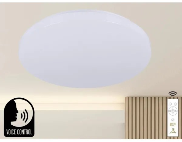 Plafoniera LED dimmerabile con controllo vocale OPAL LED/48W/230V + +TC