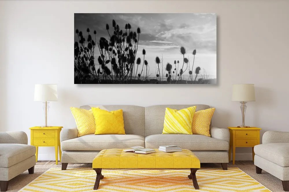 Quadro su tela – Steli d'erba nel campo in bianco e nero