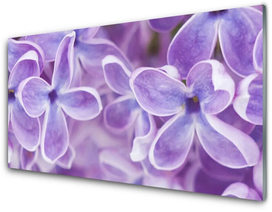 Pannello cucina paraschizzi Fiori, piante, natura 125x50 cm