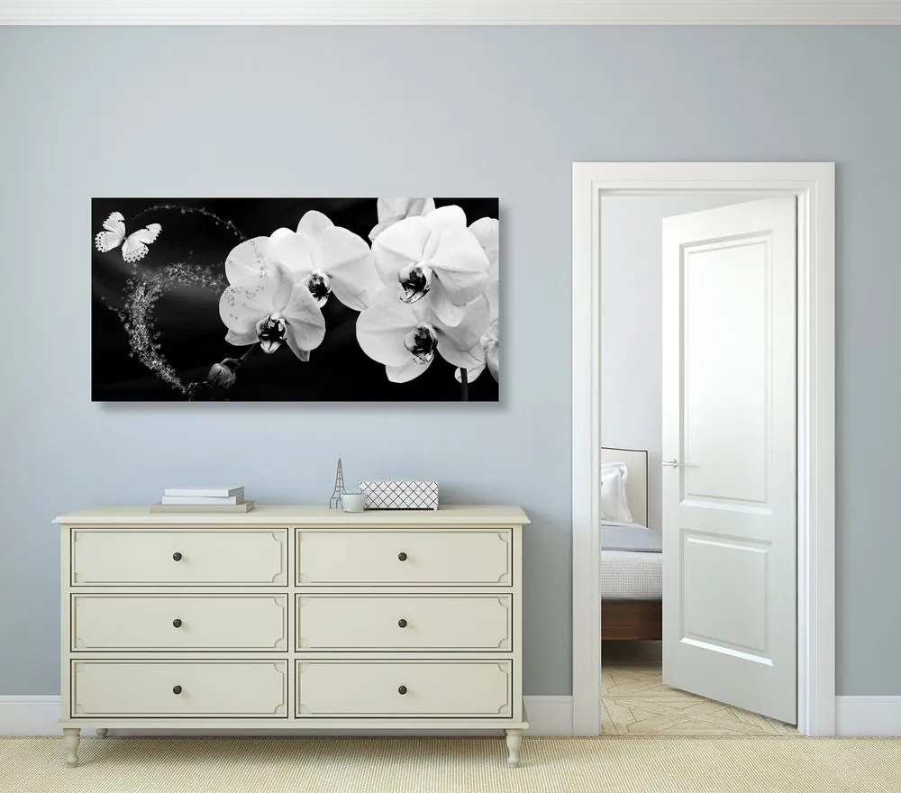 Stampa su tela – Orchidea e farfalla in bianco e nero