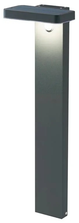 Palo solare piccolo Solare H60cm in alluminio