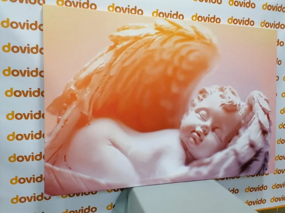 Stampa su tela – Piccolo angioletto
