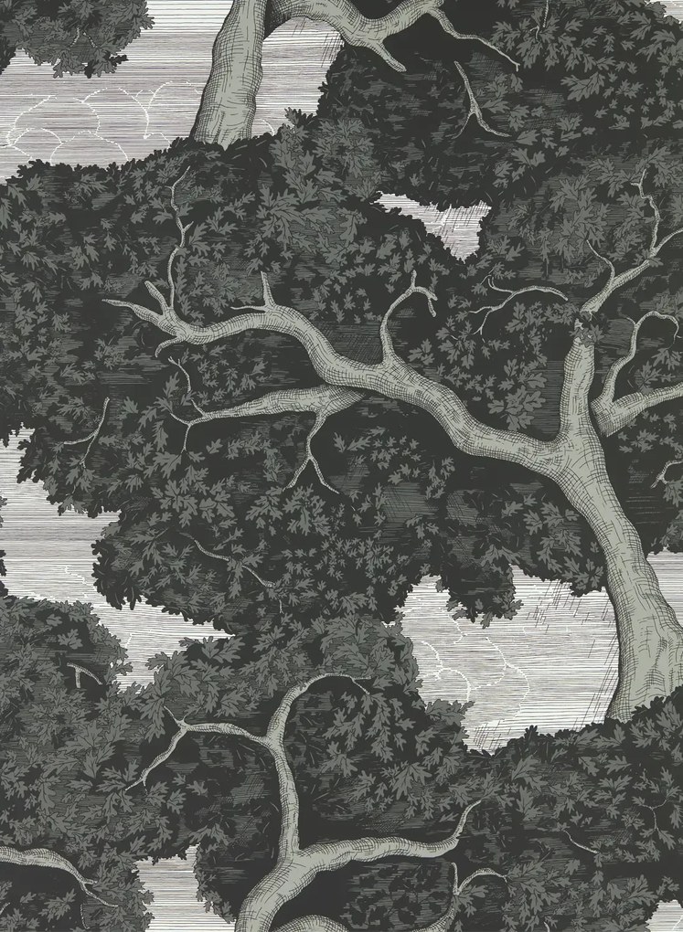 Harlequin Carta da parati Eternal Oak - Ebony/ First Light