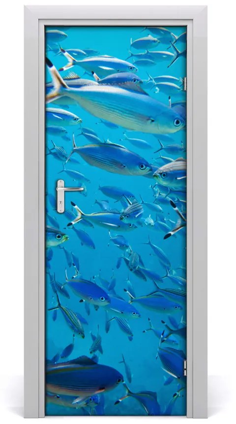 Poster adesivo per porta Pesce corallo 85x205 cm