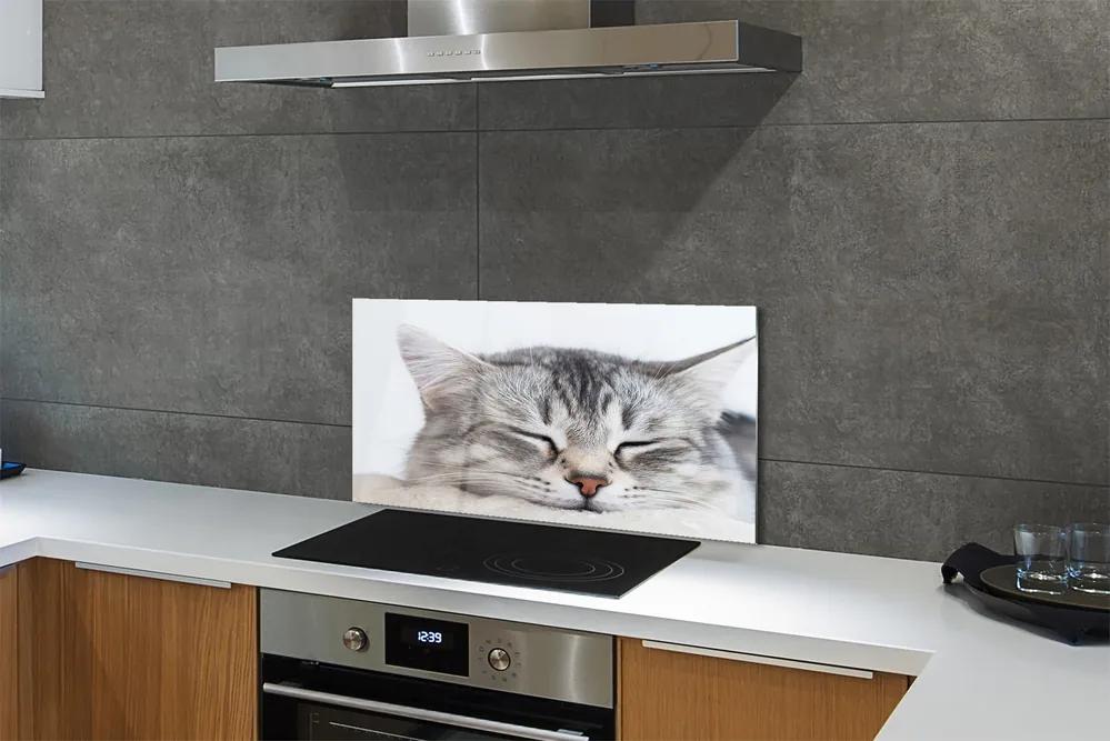 Rivestimento parete cucina Gatto addormentato 100x50 cm
