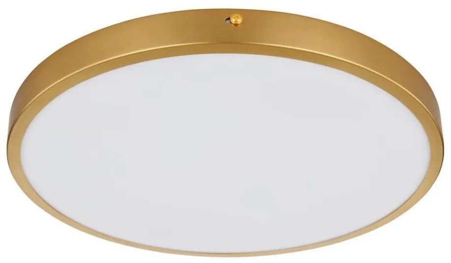 Globo 12381-22 - Plafoniera LED TIBEY LED/22W/230V diametro 35 cm