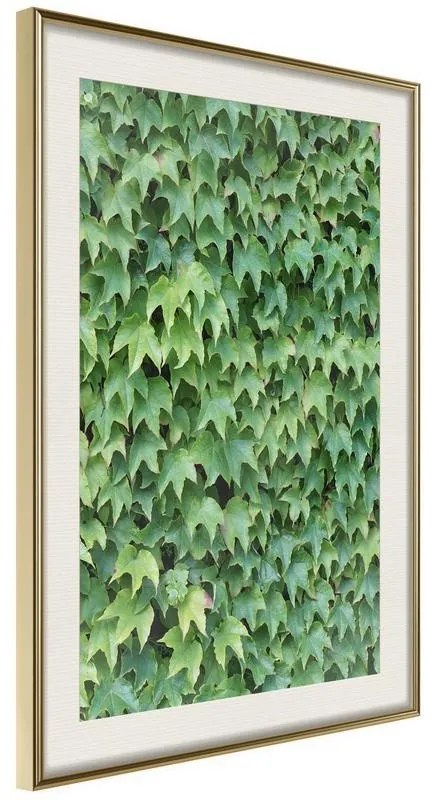 Poster  Hidden  Cornice Quadri Cornice d'oro con passe-partout, Larghezza x Altezza Home decor 20x30