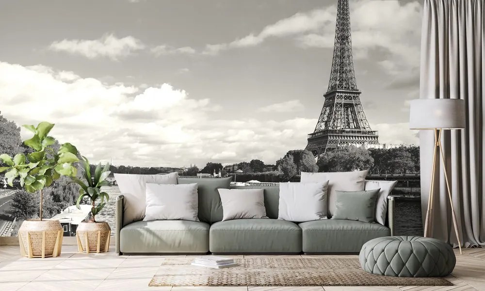Carta da parati – Splendido panorama in bianco e nero di Parigi