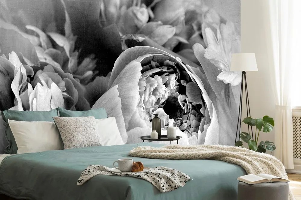 Carta da parati – Petali di fiore in bianco e nero