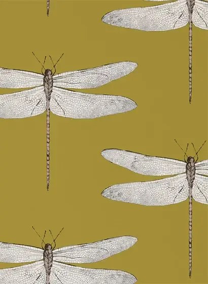 Harlequin Carta da parati Demoiselle - Ochre/ Grape